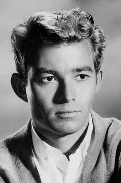 Ray Stricklyn as David Holmes