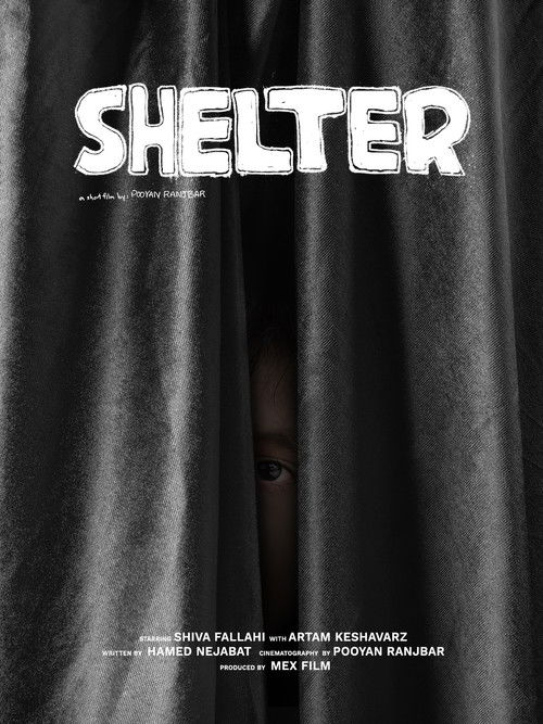 Shelter