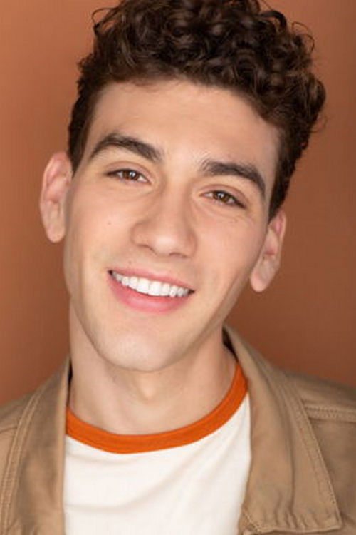 Matthew Namik as Ari Allen