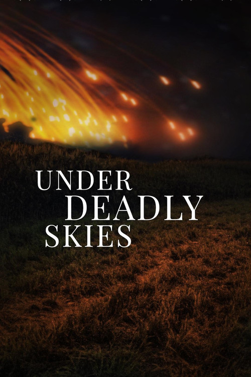Under Deadly Skies: Ukraine's Eastern Front