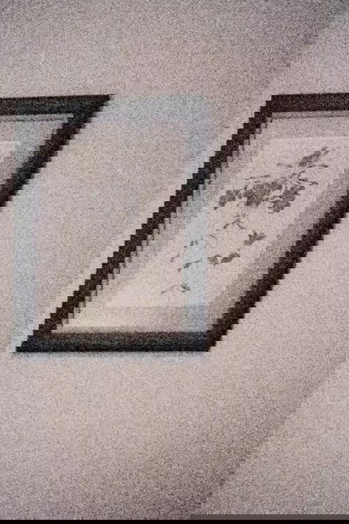 15 do 12 / meu aniversário / viajo sozinho