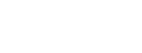 Go Faster Stripe logo