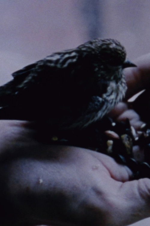 Gathering Moss poster