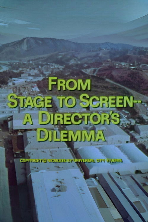 From Stage to Screen---A Director's Dilemma poster