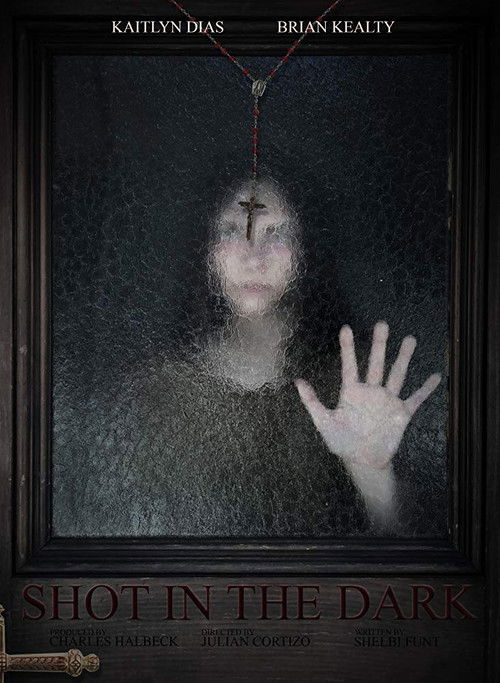 Shot in the Dark poster