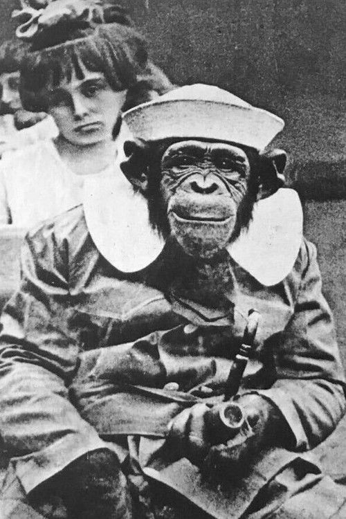 Mrs. Joe Martin as A Chimp