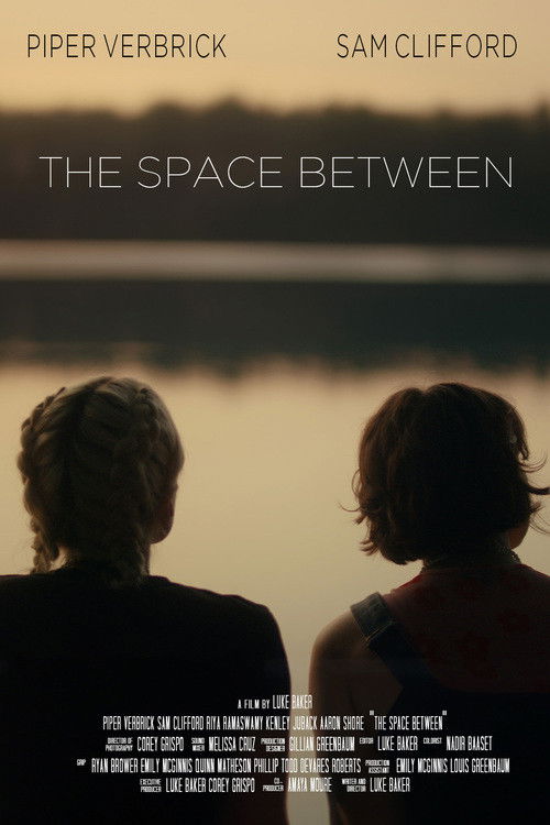 The Space Between poster