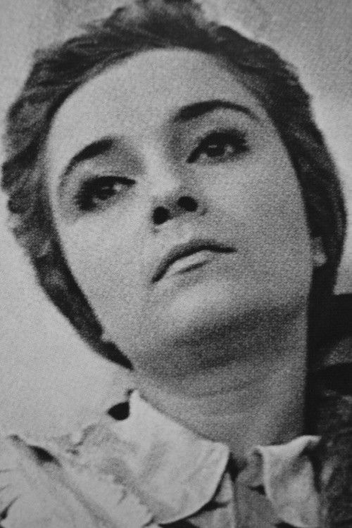 Lyudmila Panteleyeva as Waitress