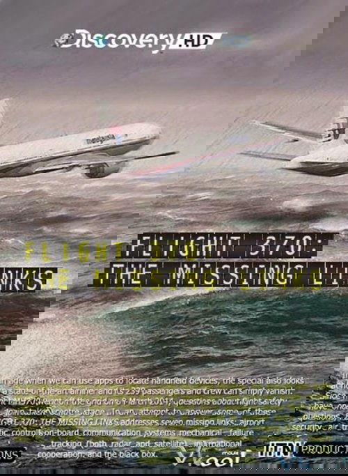 Flight 370: The Missing Links poster