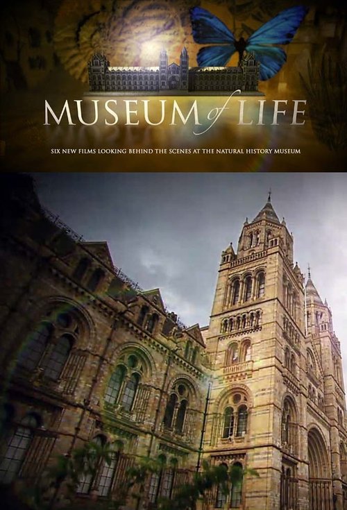 Museum of Life poster