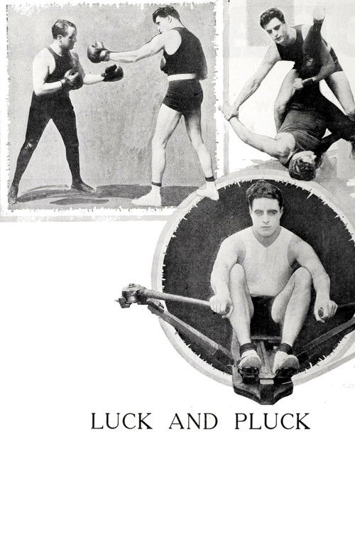 Luck and Pluck poster