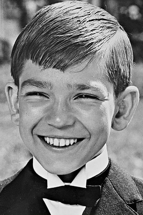 Jan Priiskorn Schmidt as Holger, messedreng