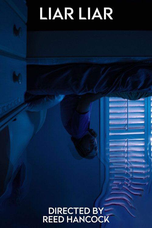 Liar Liar poster