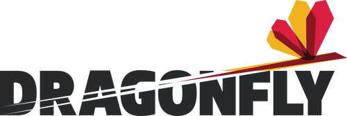 Dragonfly Film and Television Productions logo