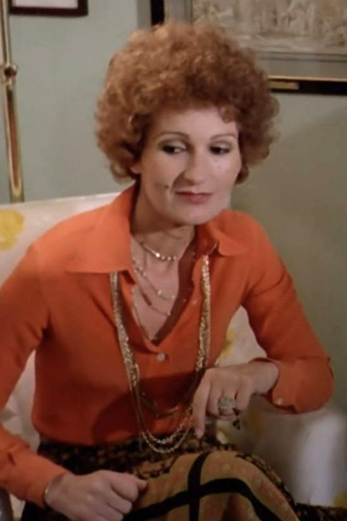 Isabella Zanussi as Giornalista