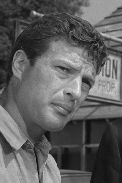 Sheridan Comerate as Howard Whitney