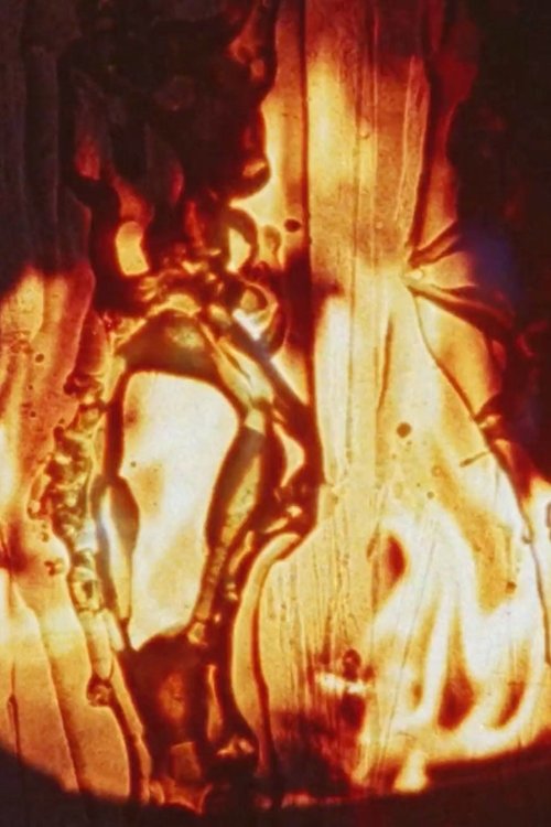 Friendly Fire poster