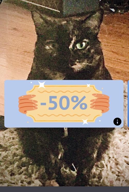 Goo as The Amityville Cute Farting Cat