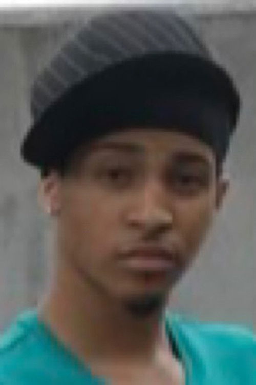 Rabbit profile photo