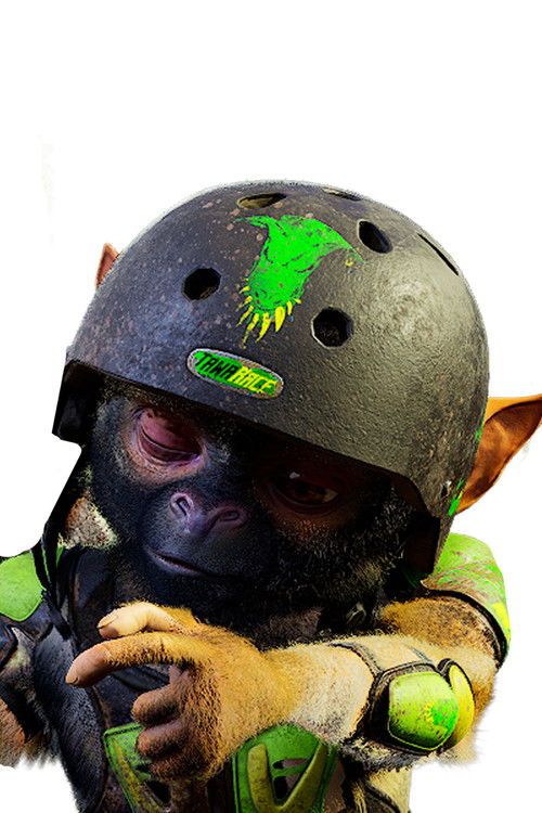 Tim as le saïmiri 4