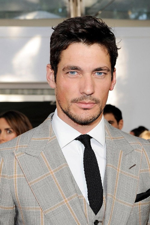 David Gandy as Self