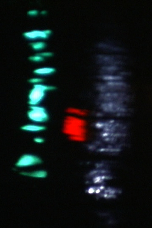 Bend Sinister poster