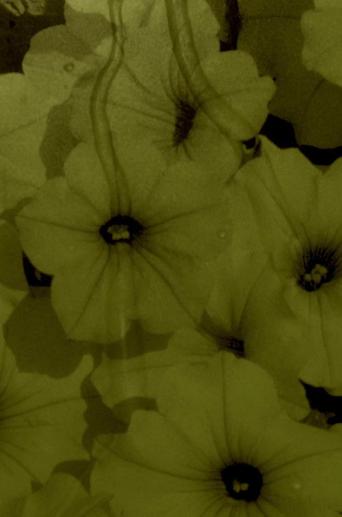 Liquid Dreams poster