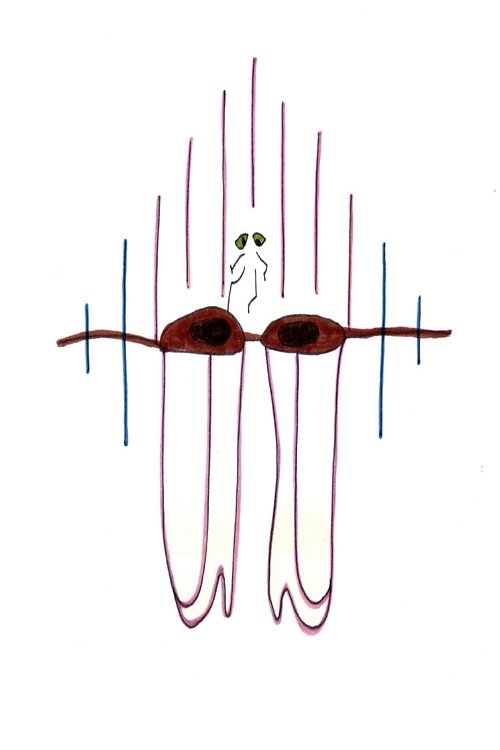 Big Brown Eyes poster