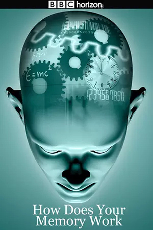 Horizon: How Does Your Memory Work? poster