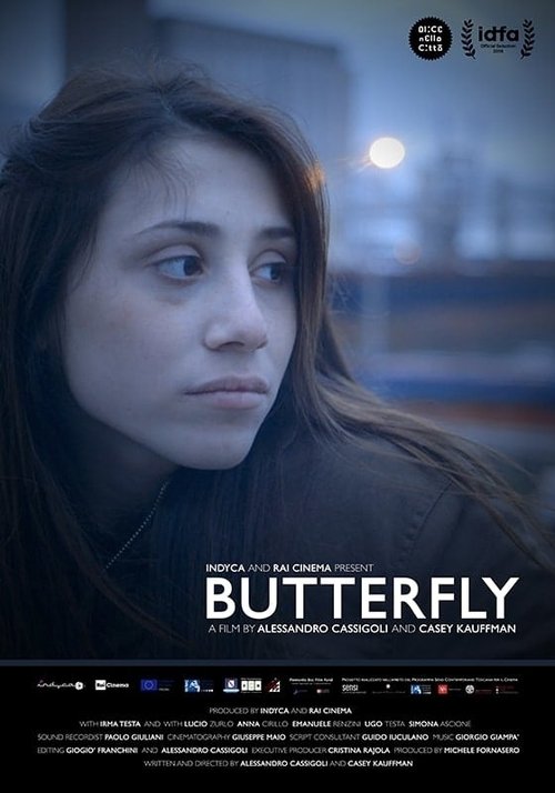Butterfly poster
