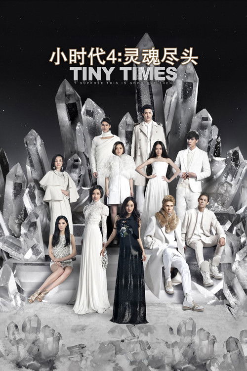 Tiny Times 4 poster