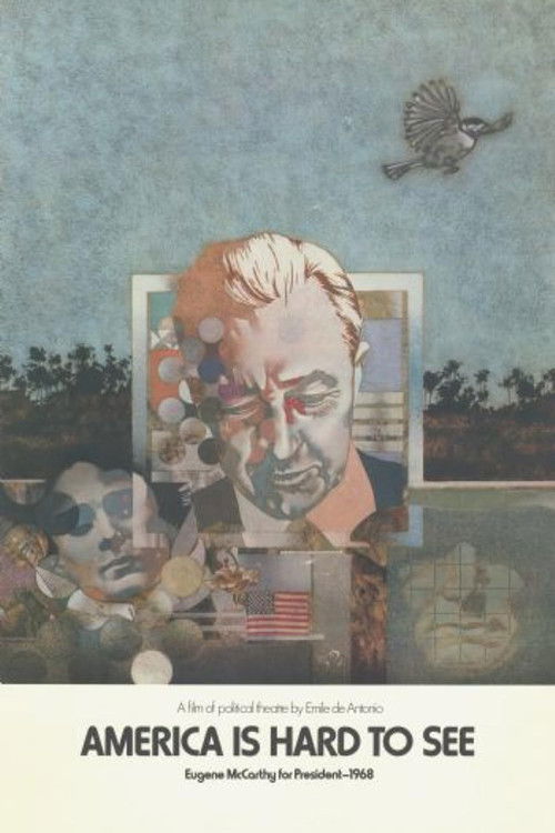 America Is Hard to See