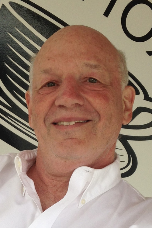 Stephen Glantz as Mr. Avalle