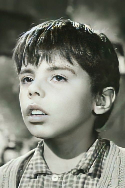 Enrique Luis Kaulen Downey as Boy