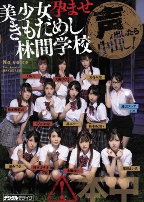 HNDS-068 If She Makes A Sound, She'll Get Creampied! - Beautiful Y********ls Test Their Will Against Guys' Pregnancy Fetishes - Akira Erie (Arai Erie, Yuka Osawa)