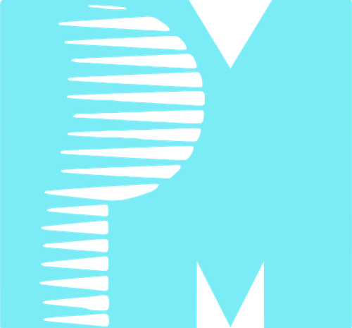 PM Entertainment Group logo