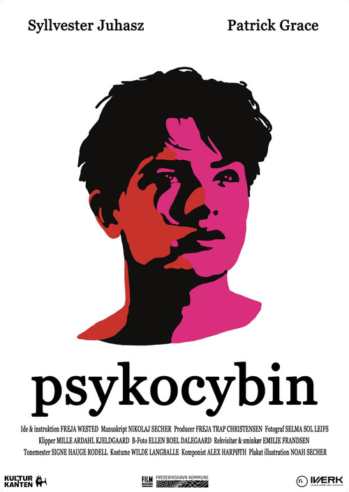 Psykocybin