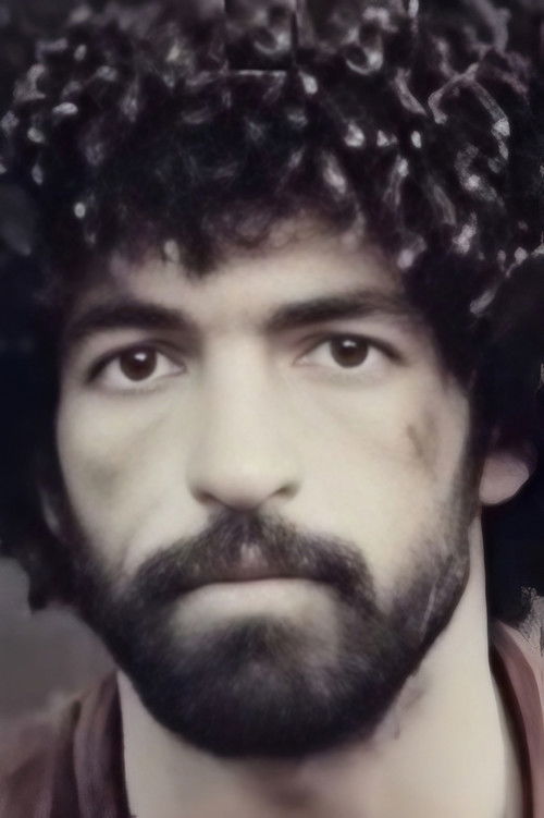 Nury Hudaikuliyev as Purli