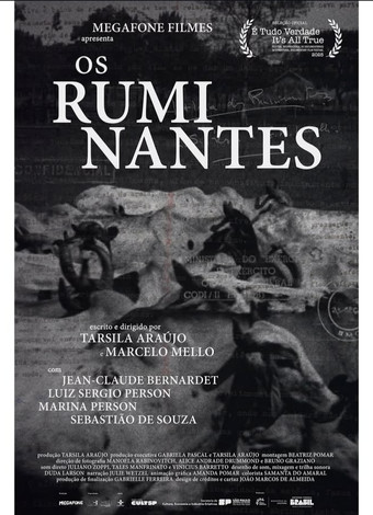 Os Ruminantes