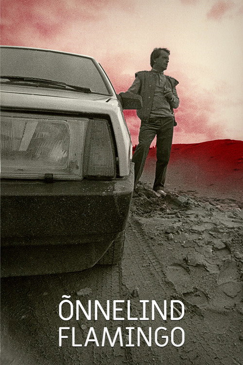 Flamingo: The Bird of Luck