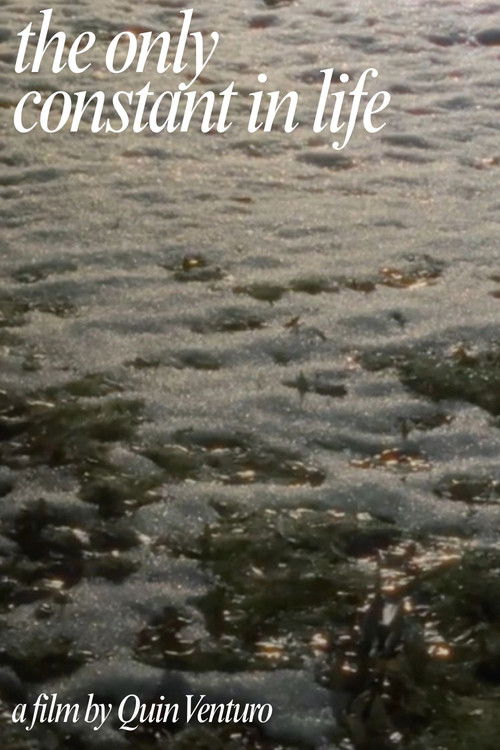 The Only Constant In Life