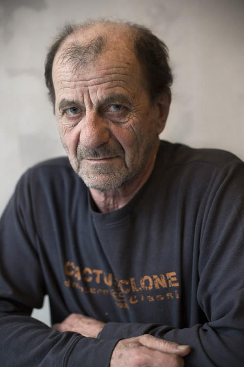 Székely B. Miklós as Karrer