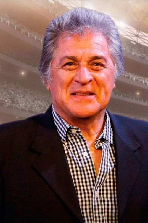 Ubaldo Fillol as 