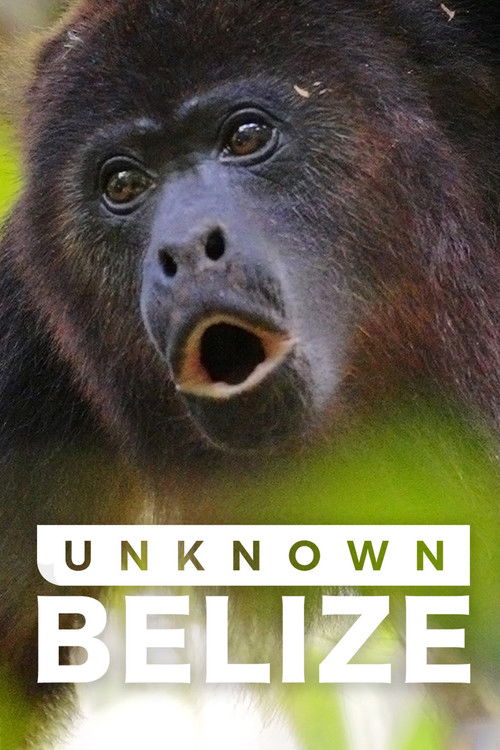 Unknown Belize