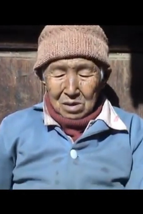 Back to Huamulin poster