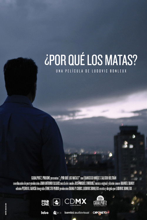 Why Do You Kill Them? poster