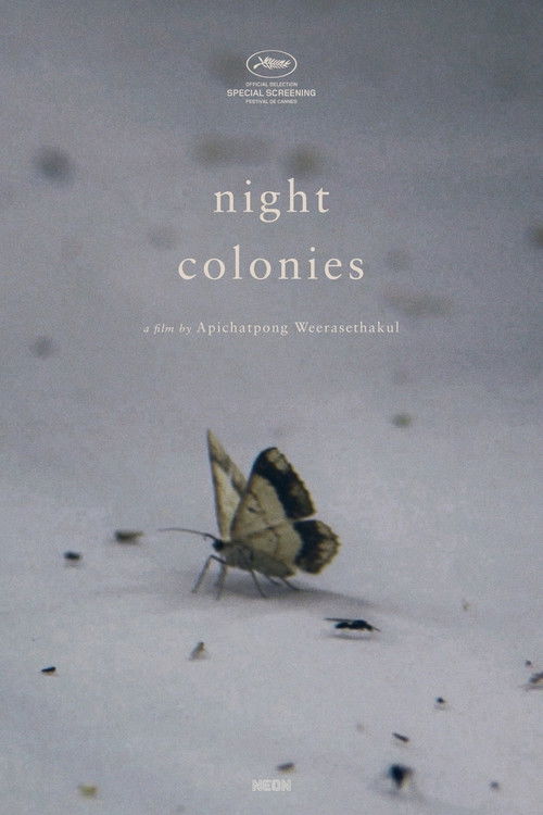 Night Colonies poster