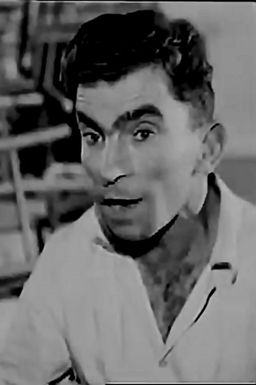 Andreas Golfis as Iraklis (Anthoula's brother #7)