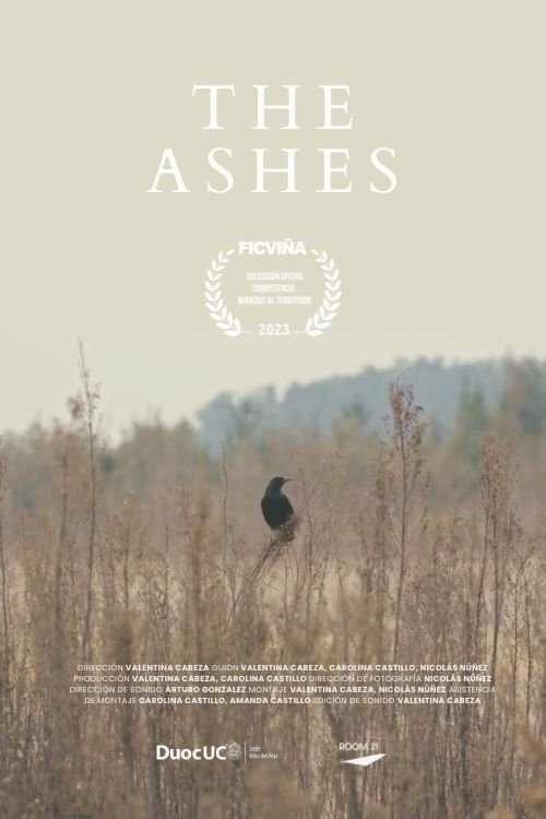 The Ashes poster