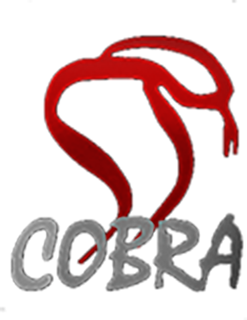 Cobra Film Department logo